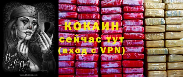 прущий лед Козельск