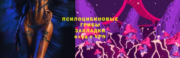 кокс Козловка