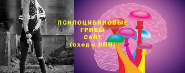 кокс Козловка