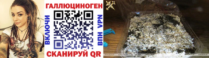Галлюциногенные грибы MAGIC MUSHROOMS  как найти наркотики  Киренск 